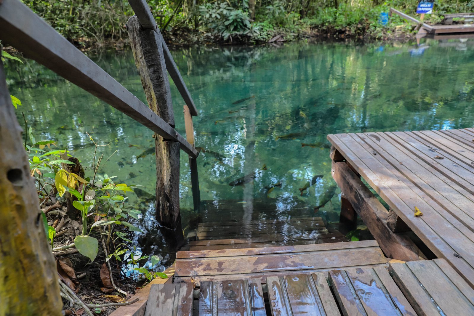 refugio-agua-azul3