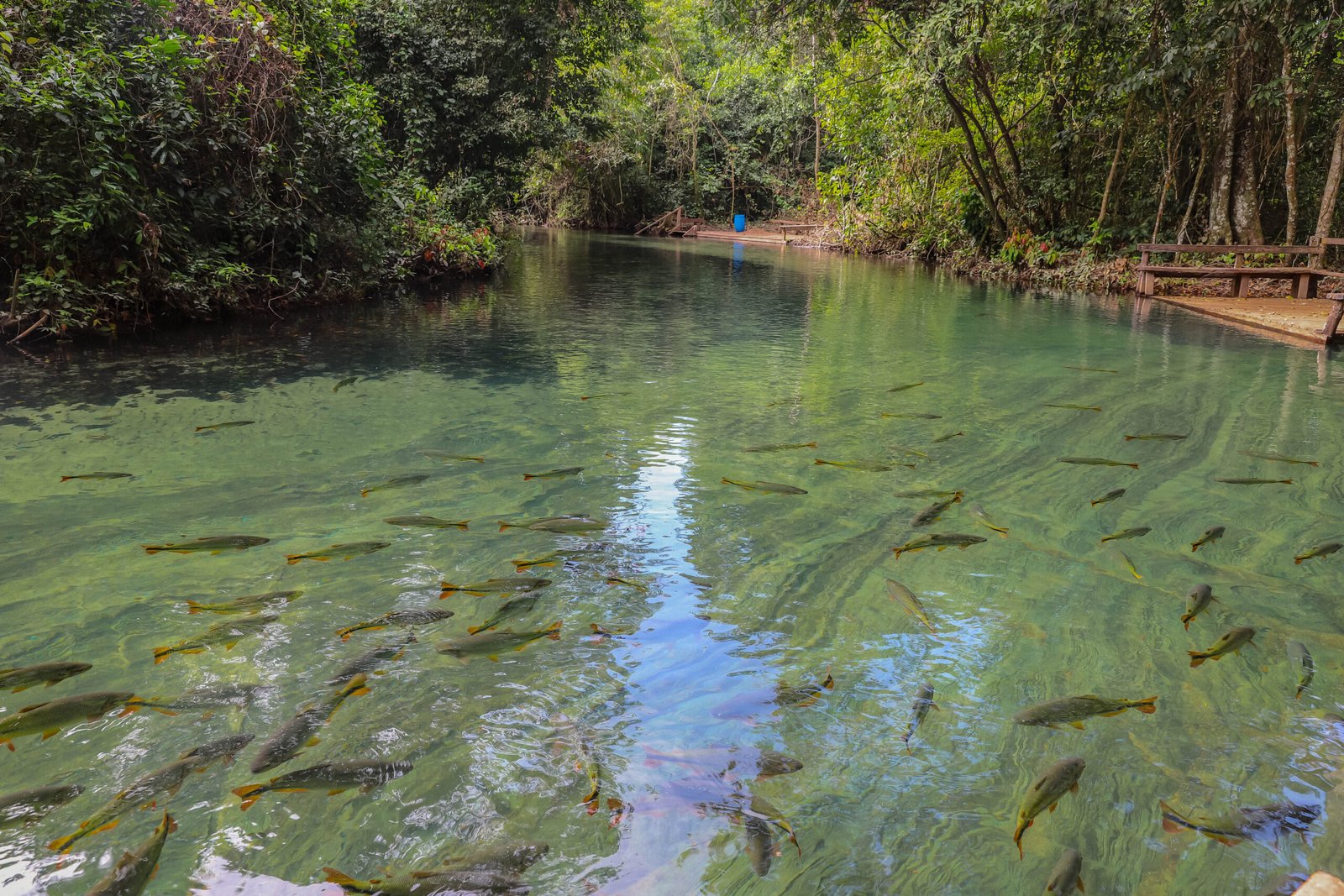 refugio-agua-azul4
