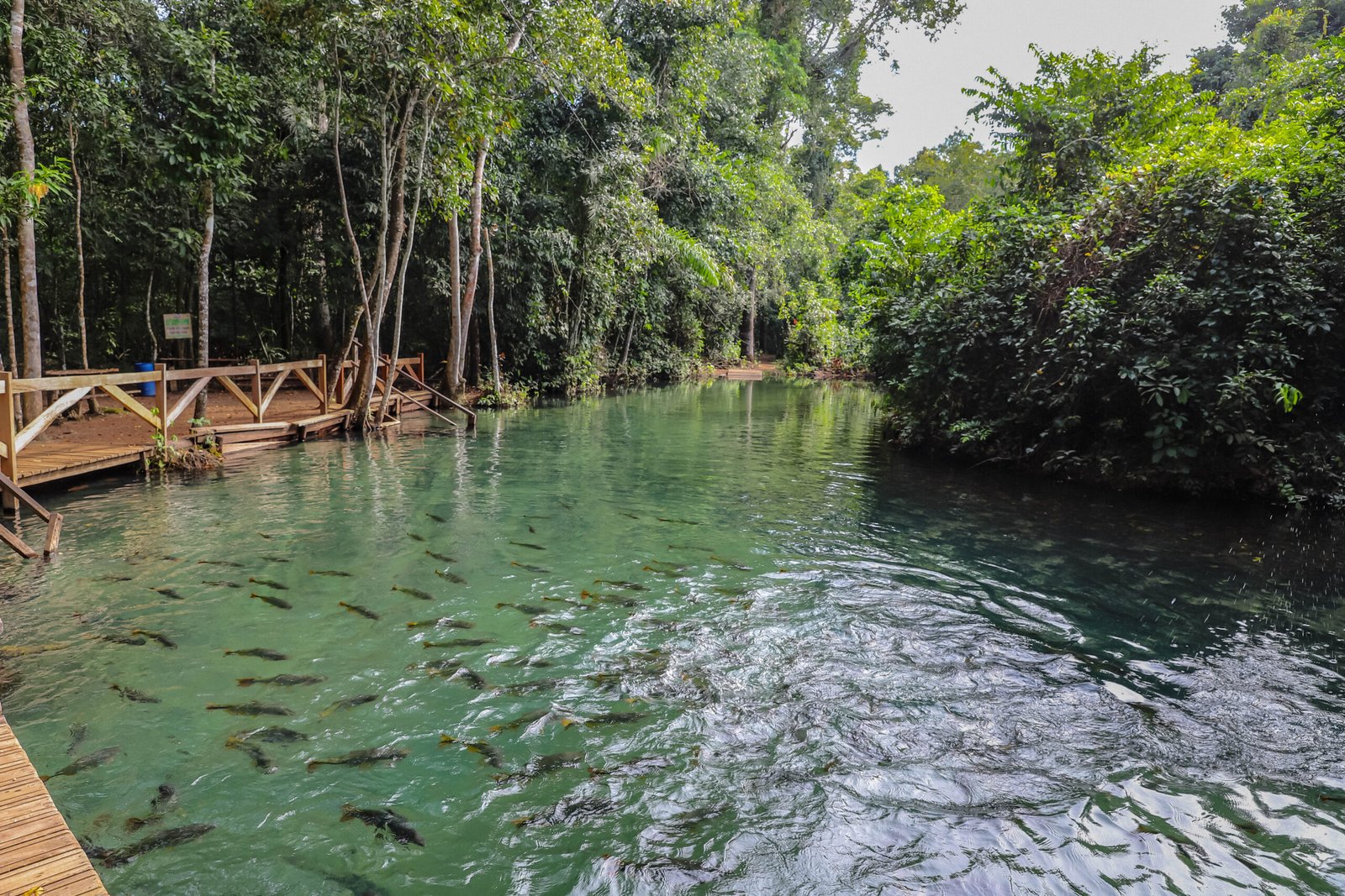 refugio-agua-azul5