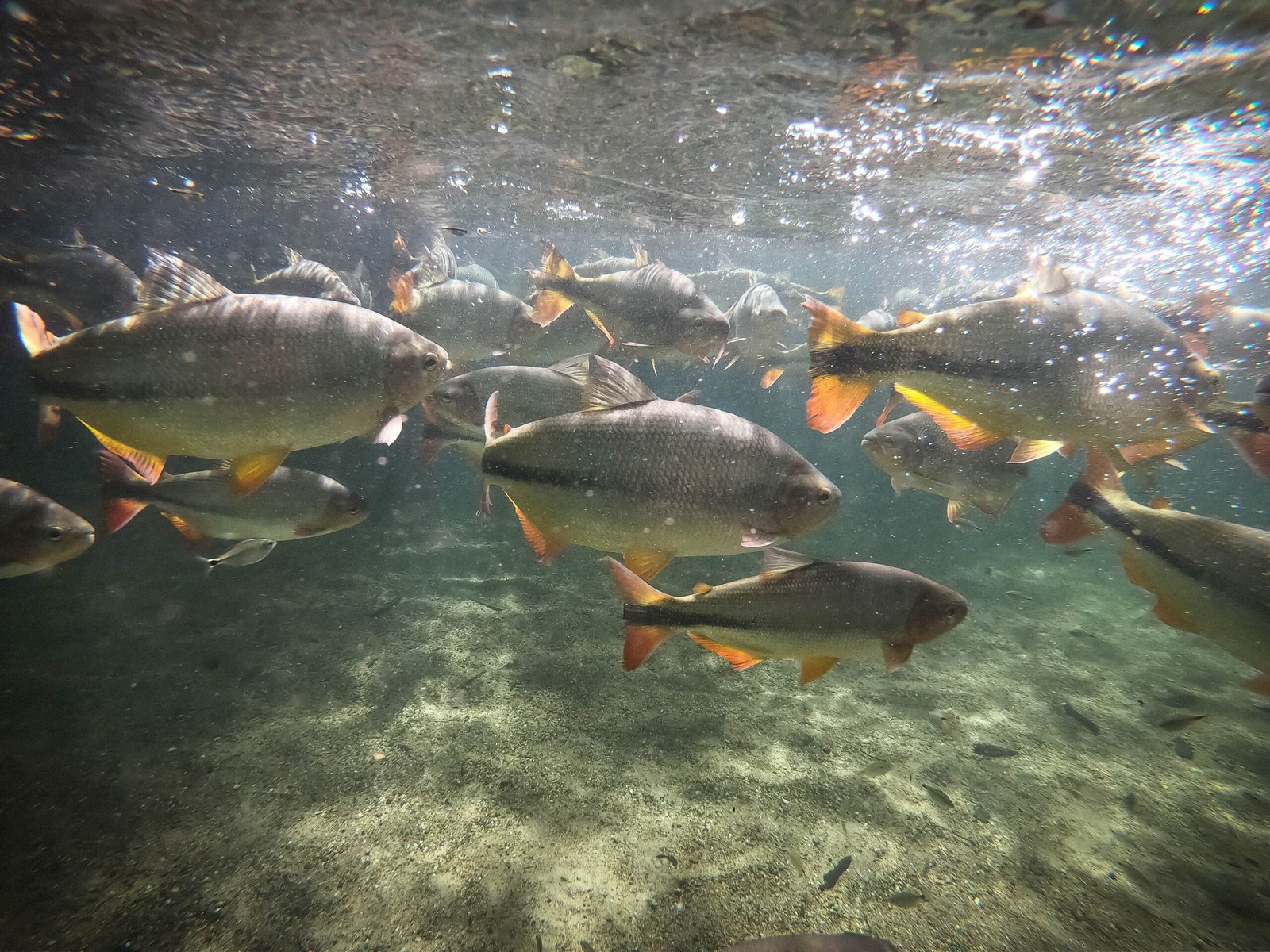 DCIM100GOPROGOPR0213.JPG