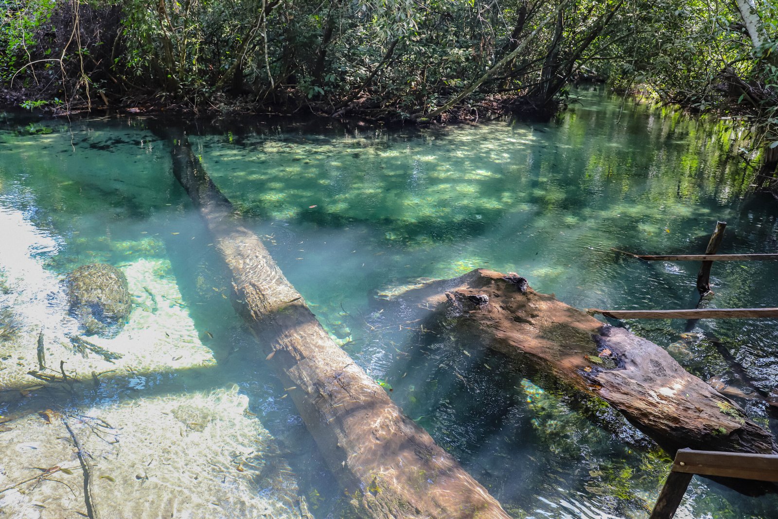 refugio-agua-azul7